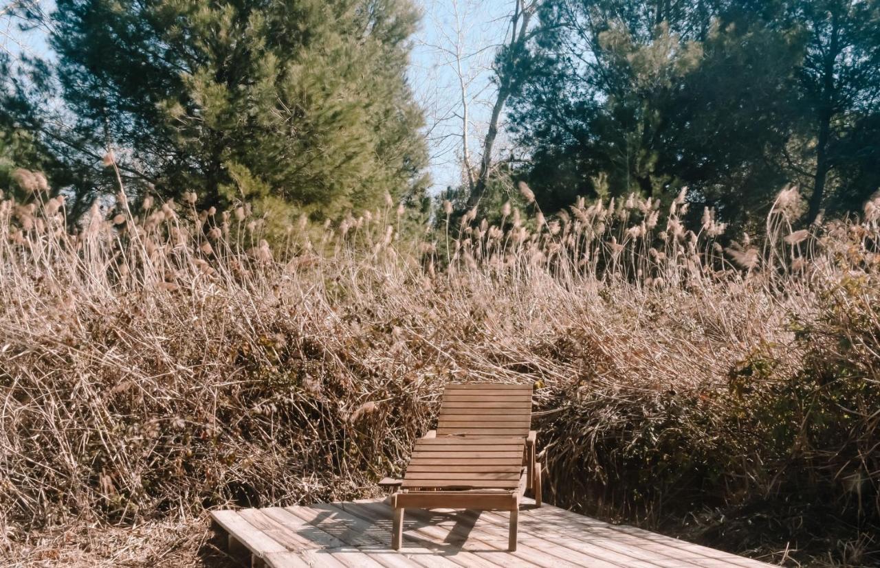 Cooltainer Retreat: Sustainable Coastal Forest Tiny House Near Barcelona Castelldefels Luaran gambar